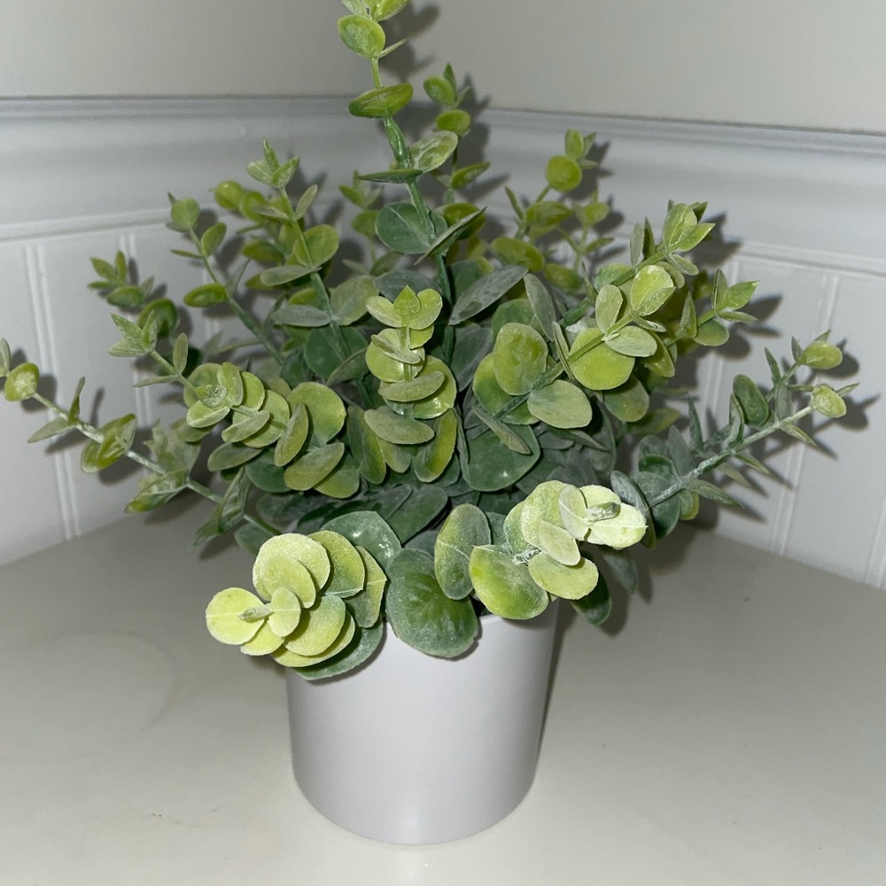 Home decor artificial plant.
